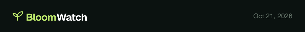 New email header: lockup PNG