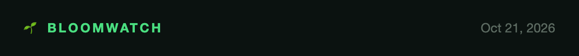 Old email header: sprout emoji and BLOOMWATCH in spaced mint capitals