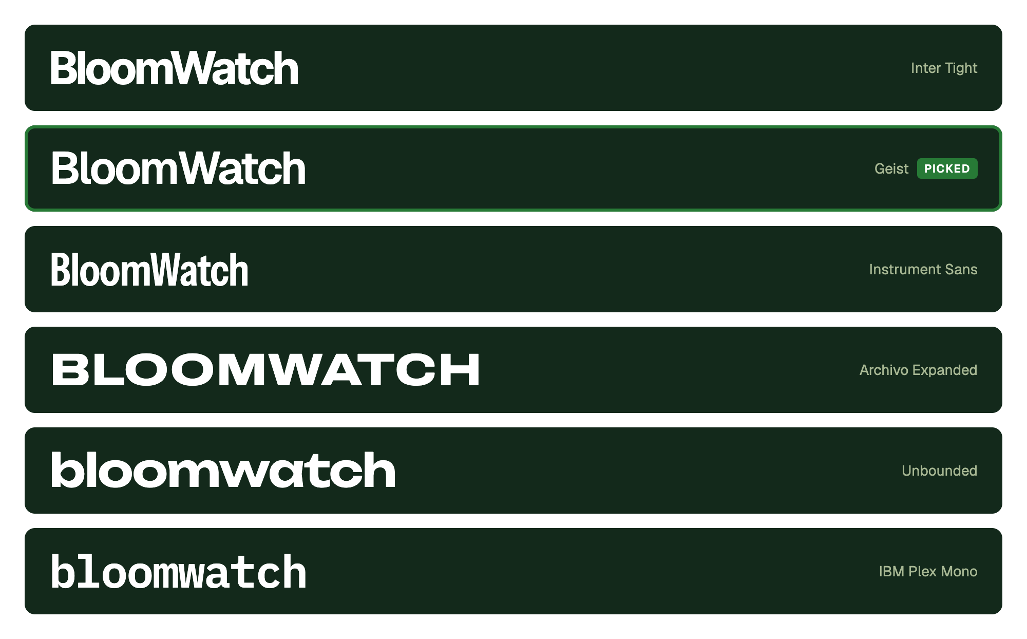 BloomWatch set in Inter Tight, Geist (picked), Instrument Sans Condensed, Archivo Expanded, Unbounded, and IBM Plex Mono